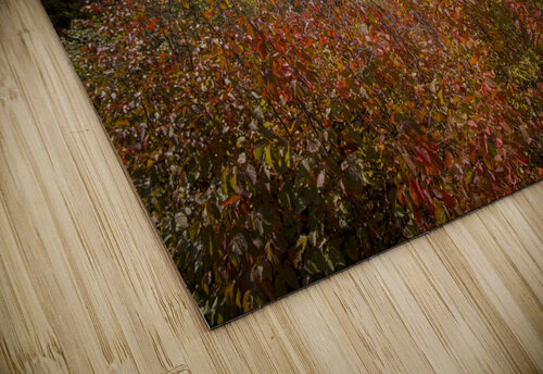 Pembina Valley Marc Gilbert Photography puzzle