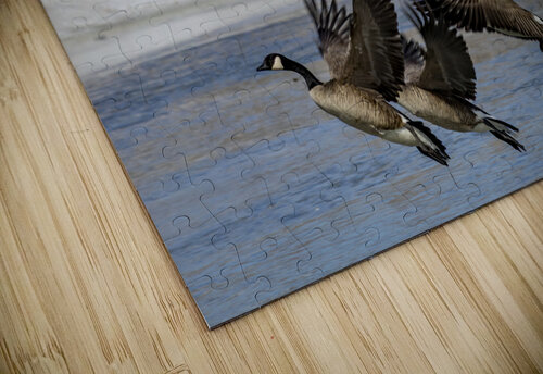 Geese in Flight Marc Gilbert Photography puzzle