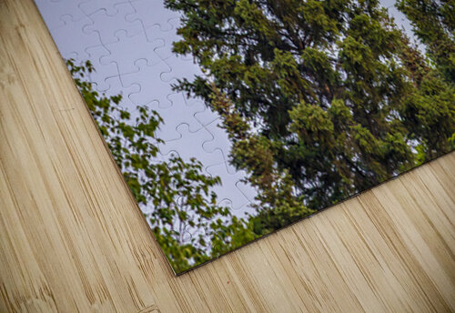 Blue Heron Over the Canopy Marc Gilbert Photography puzzle