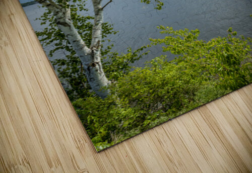 Lake of the Woods Shore Marc Gilbert Photography puzzle