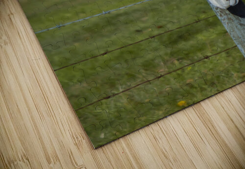 Eagle on a Fence Marc Gilbert Photography puzzle