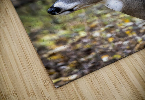 Antlers and Autumn: A Portrait of Natures Beauty Marc Gilbert Photography puzzle