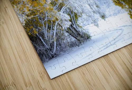 A Path Under the First Snow Marc Gilbert Photography puzzle