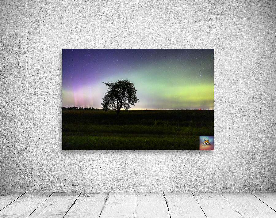 Lone Tree and Northern Lights Wall Preview