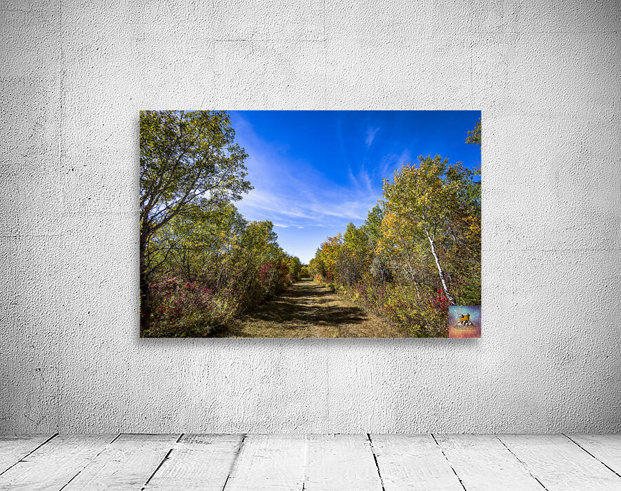 Trail in the Fall Wall Preview