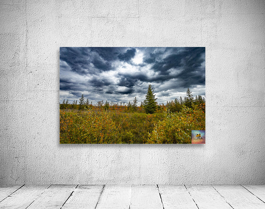 Moody Fall Wall Preview