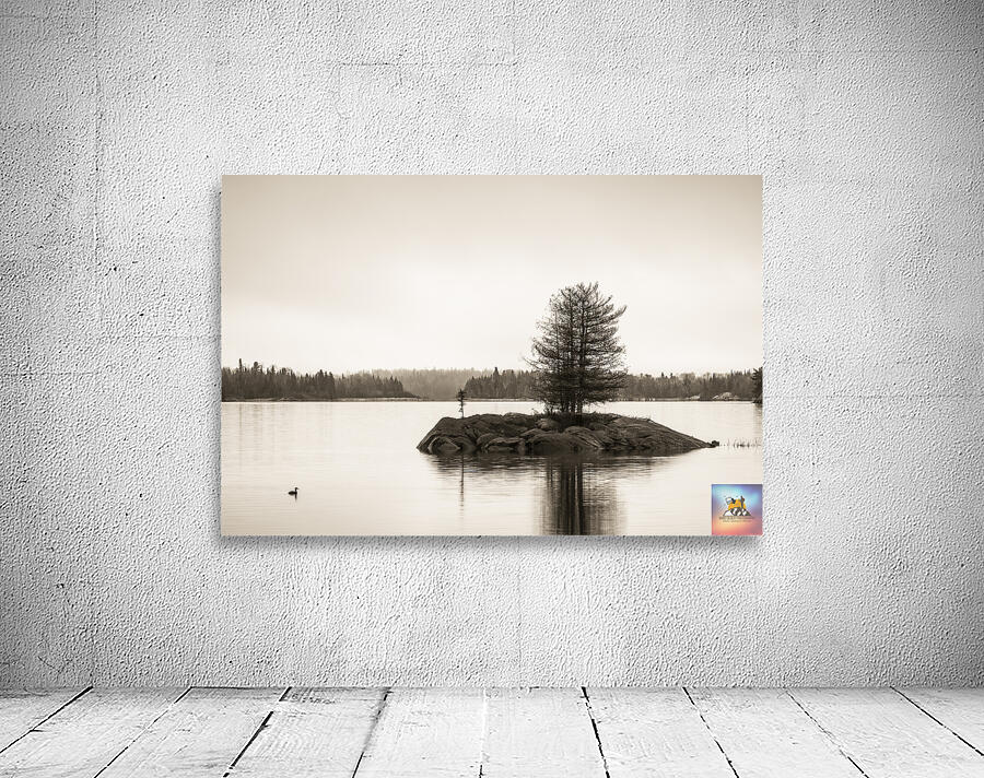 Still Waters Wall Preview