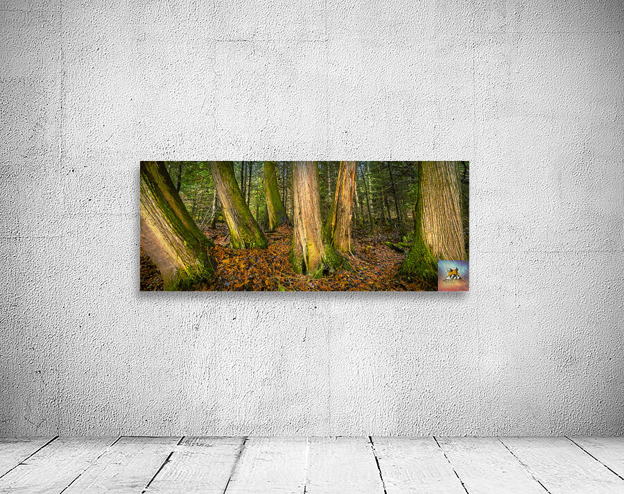 Tree Grove Wall Preview