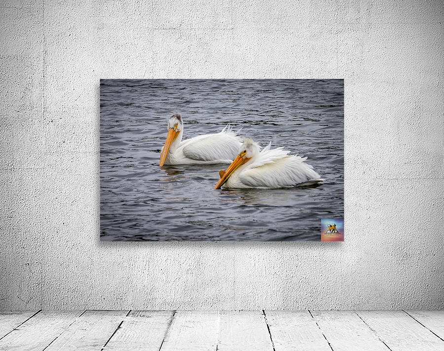 Pelicans Wall Preview