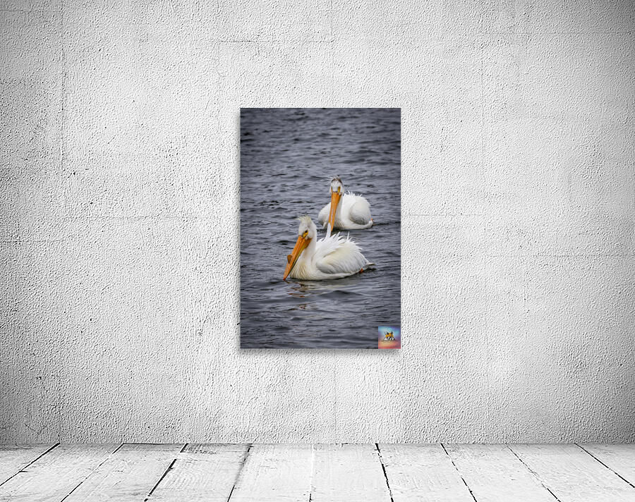 Pelicans Wall Preview