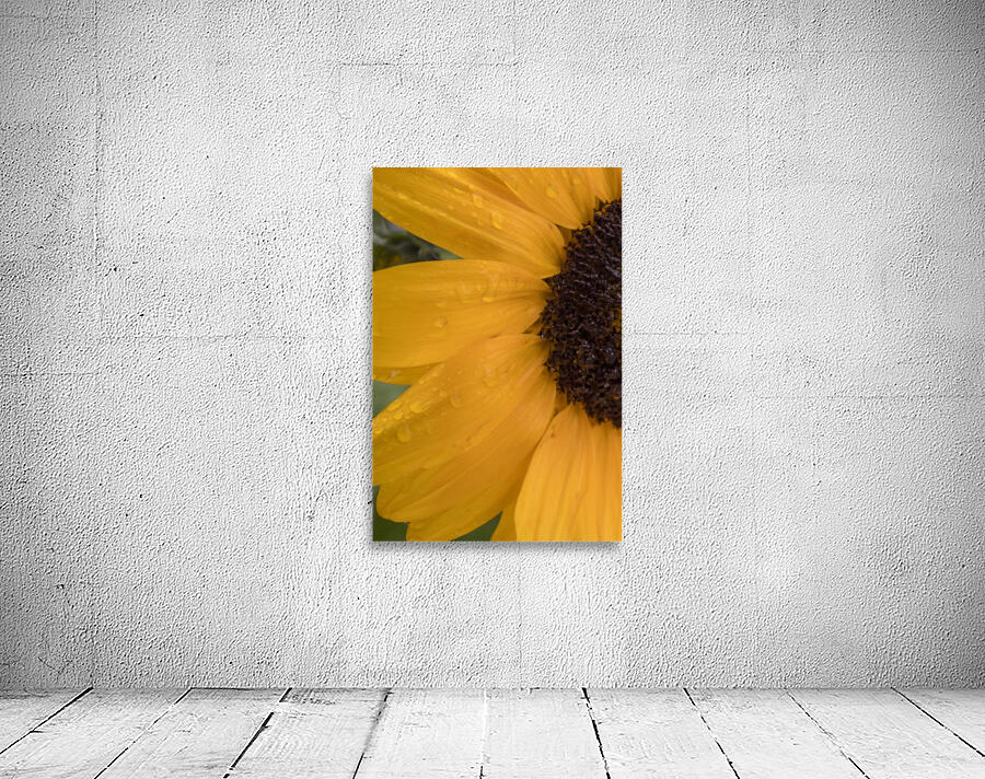 Sunflower Wall Preview