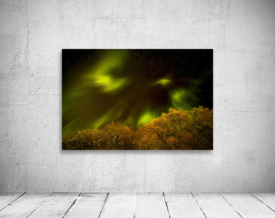 Northern Lights Above the Canopy Wall Preview