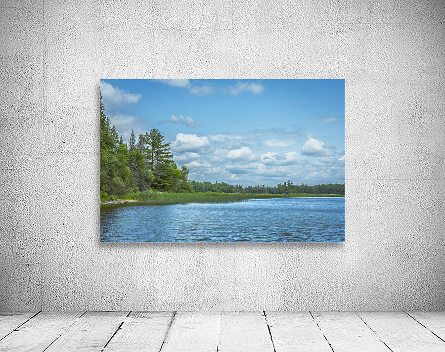 Lake of the Woods View Wall Preview