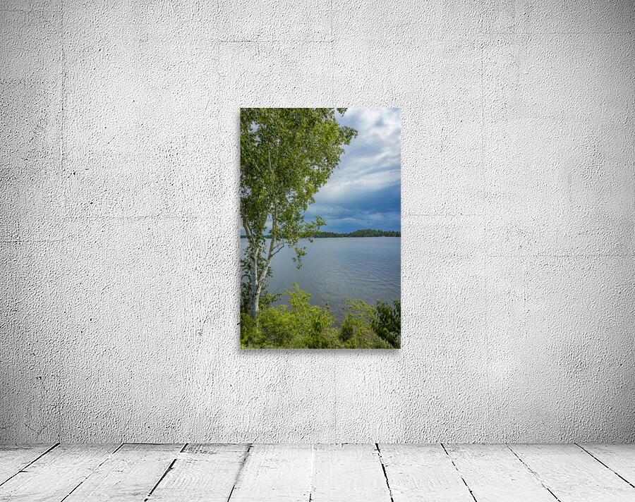 Lake of the Woods Shore Wall Preview