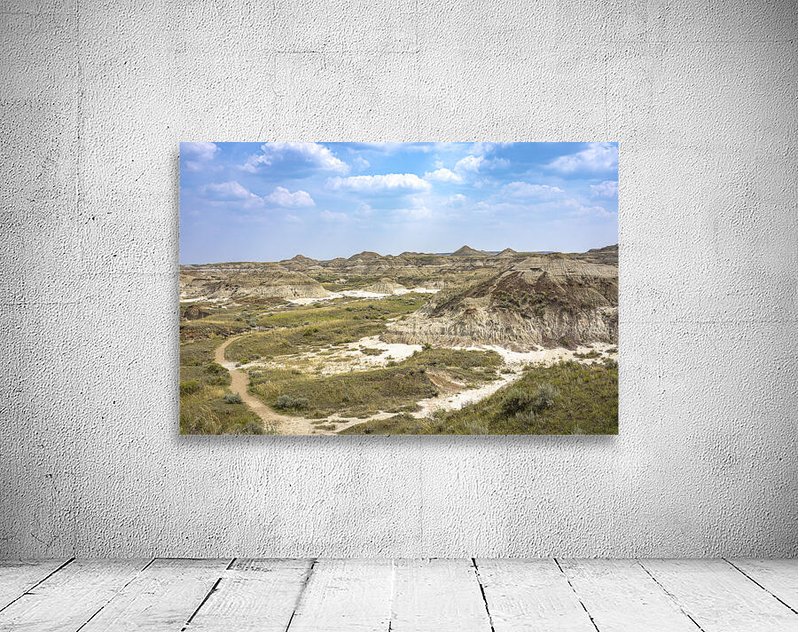 Overlooking the Badlands Wall Preview