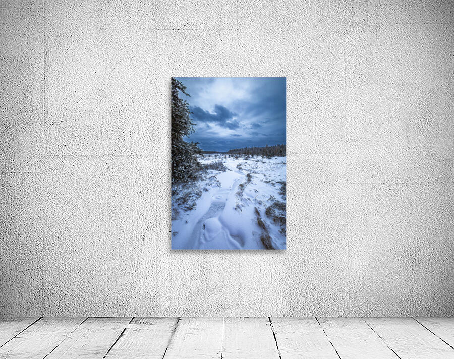 Boreal Stillness Wall Preview