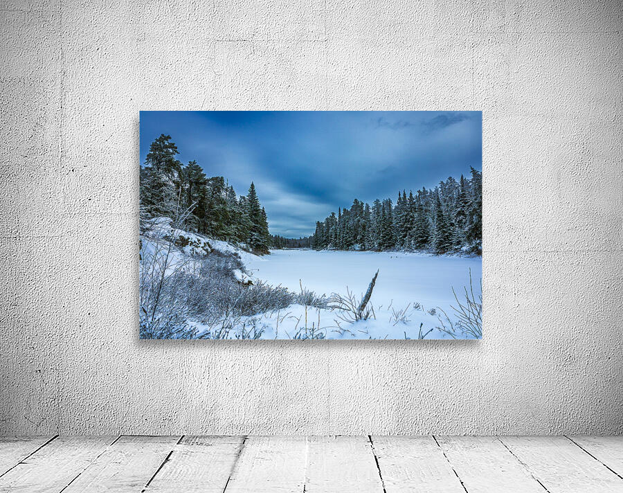 Frozen River Bend Wall Preview