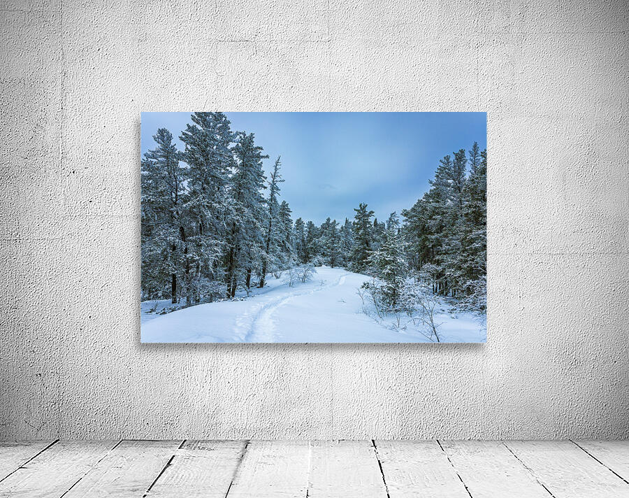 Winter on Hanson Creek Trail Wall Preview