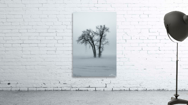 Lone Tree in Winter Storm Wall Preview