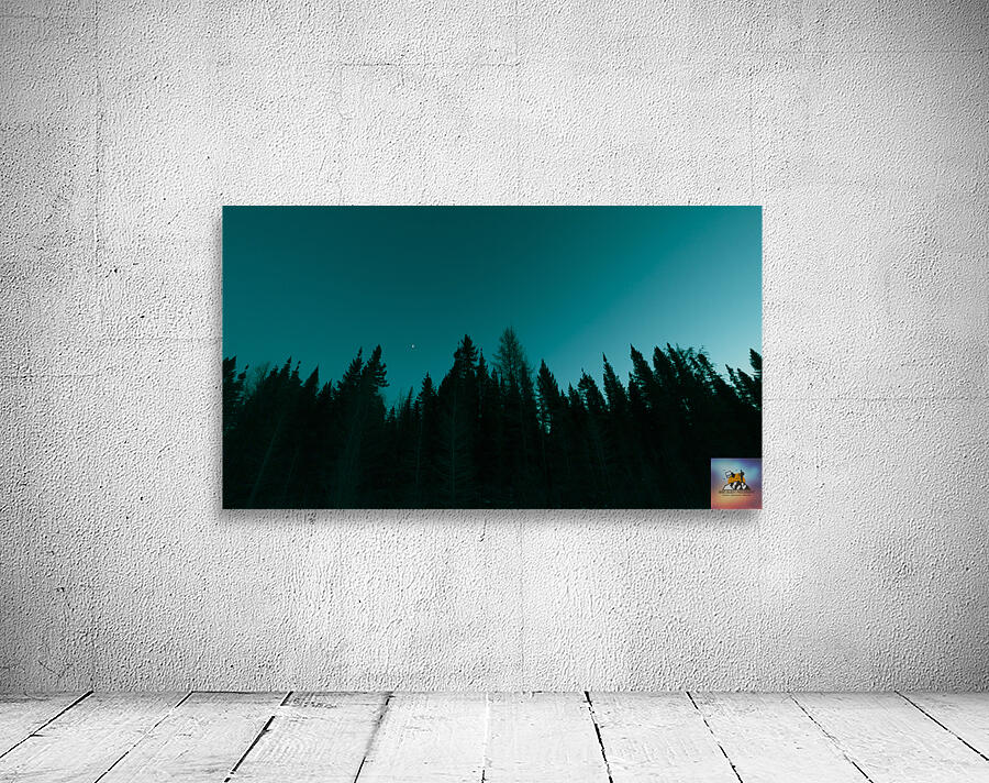 Boreal Silhouette Wall Preview