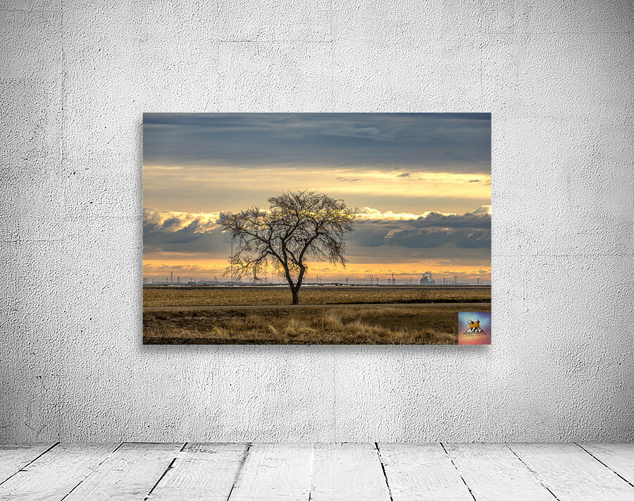 Lone Tree at Sunrise Wall Preview