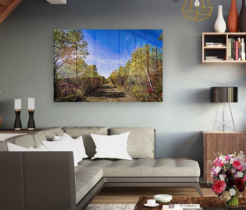 Trail in the Fall Reproduction