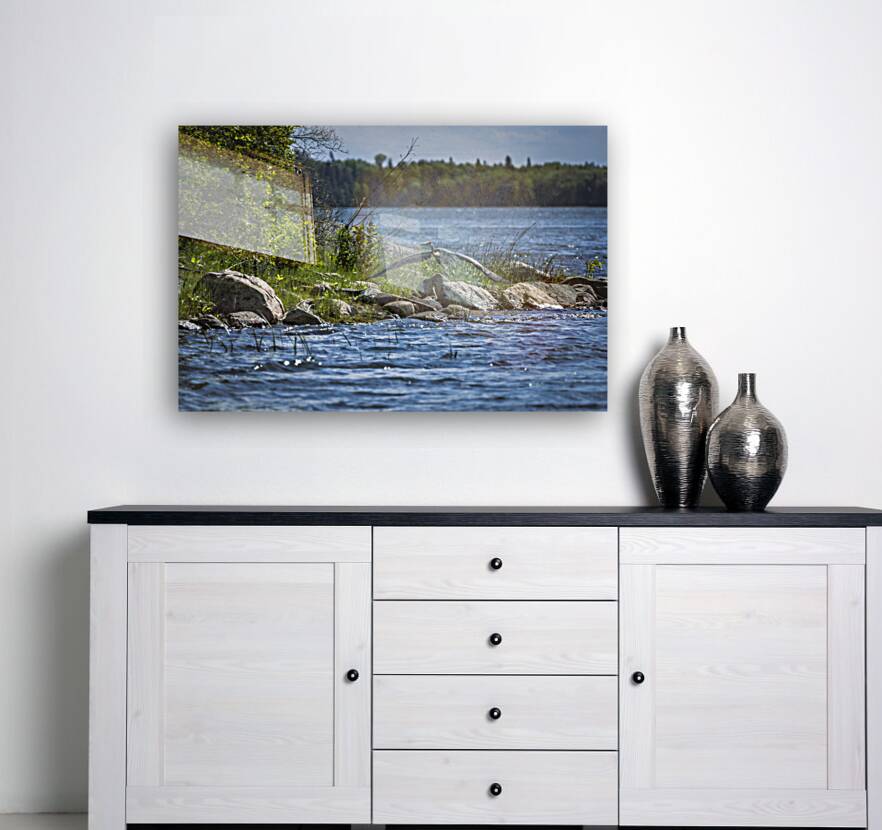 Blue Herons Flight Reproduction