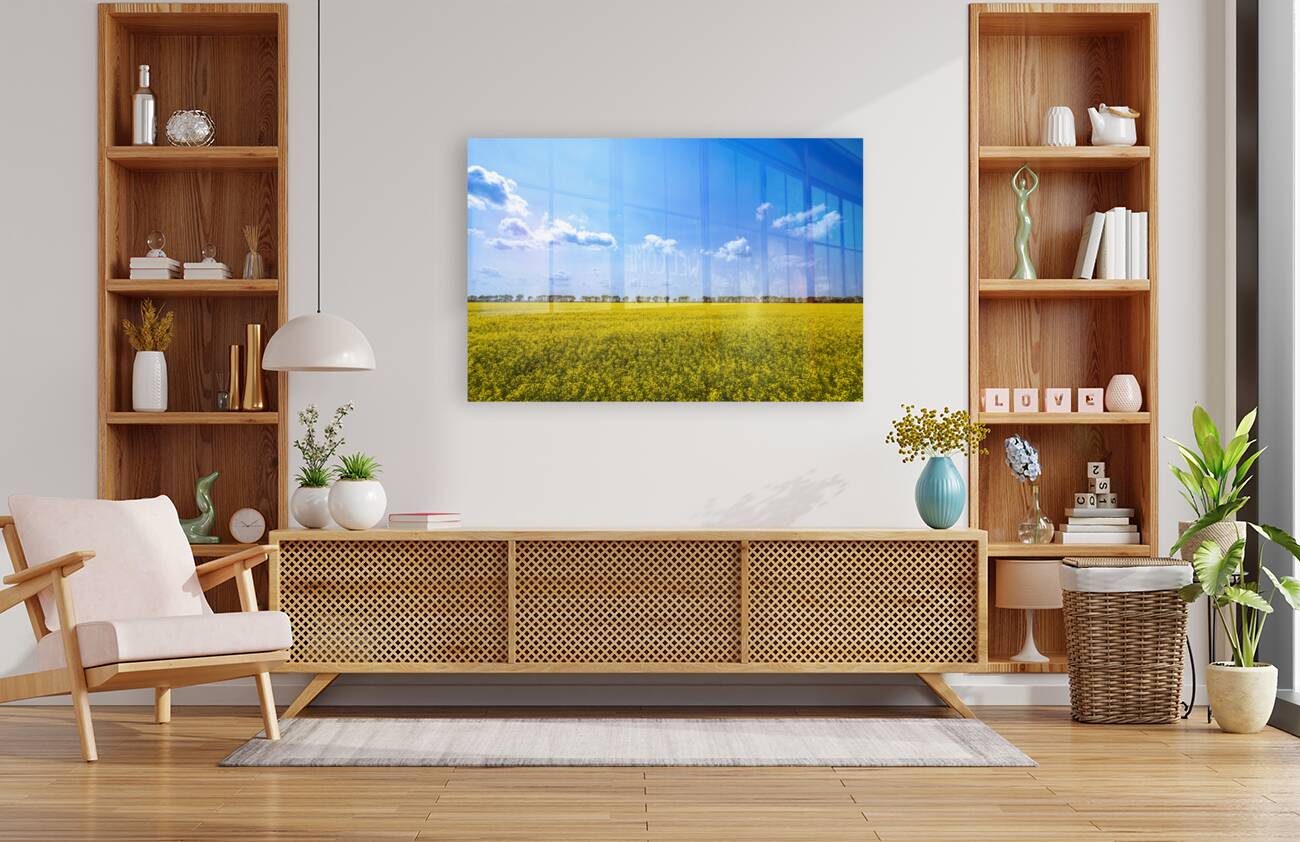 Canola Field Reproduction