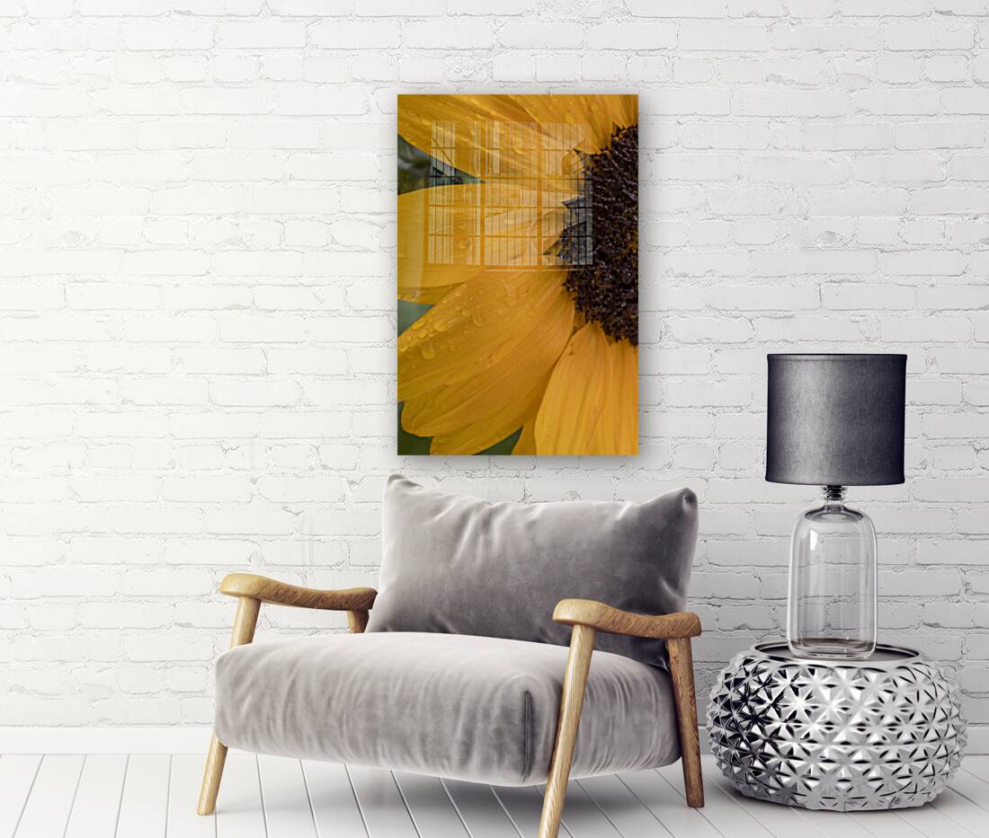 Sunflower Reproduction