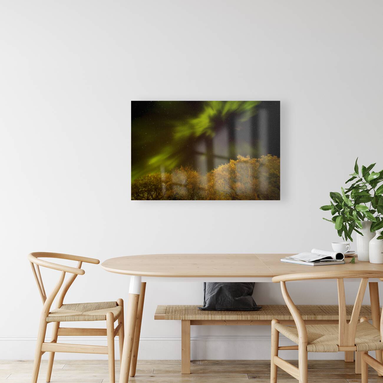 Northern Light Above the Canopy Reproduction