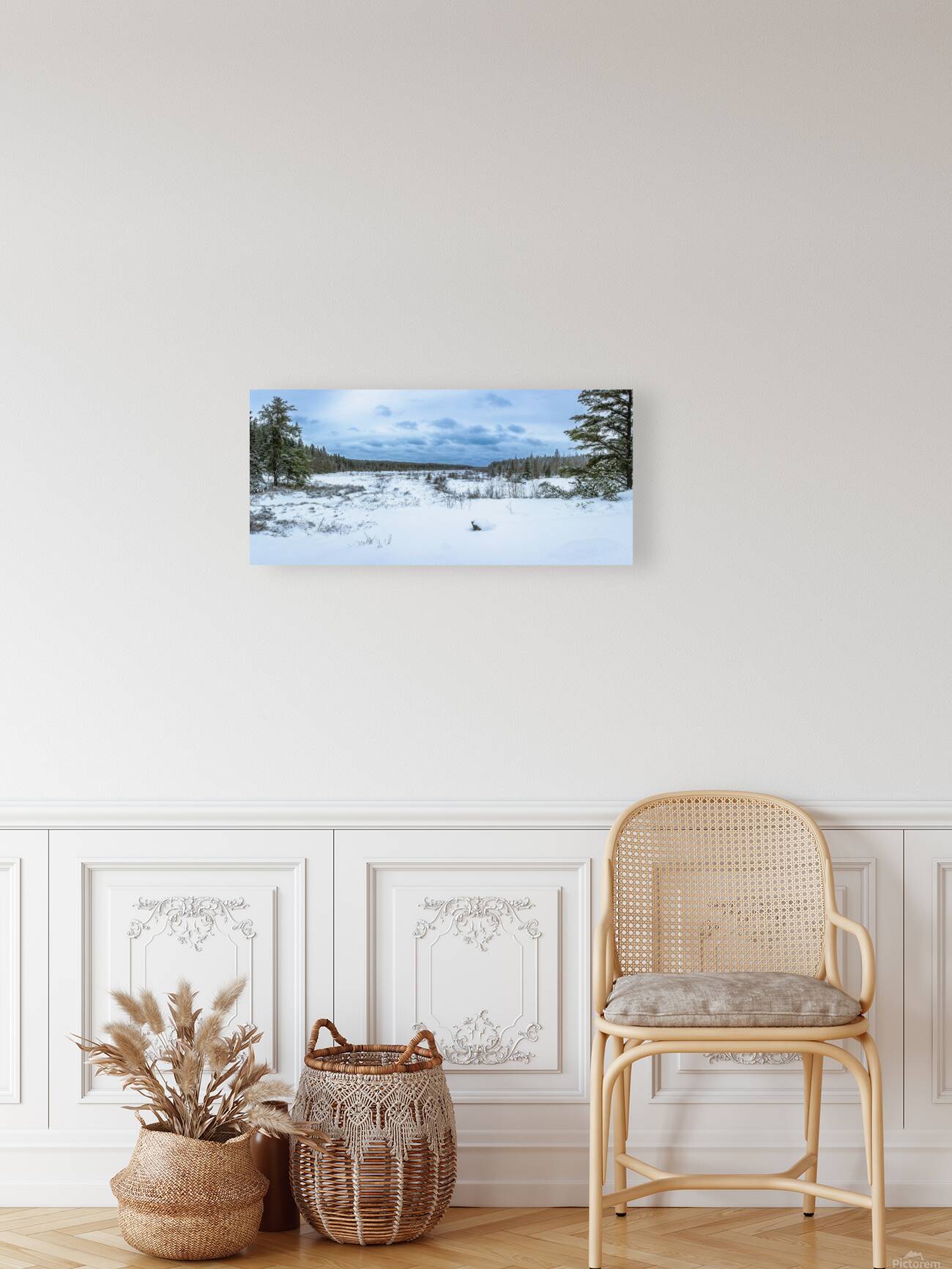 Winter Expanse Reproduction