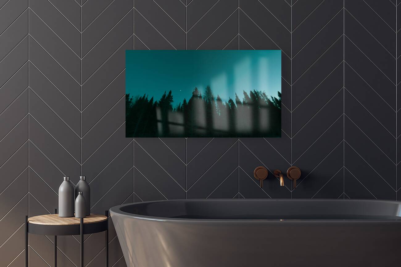 Boreal Silhouette Reproduction