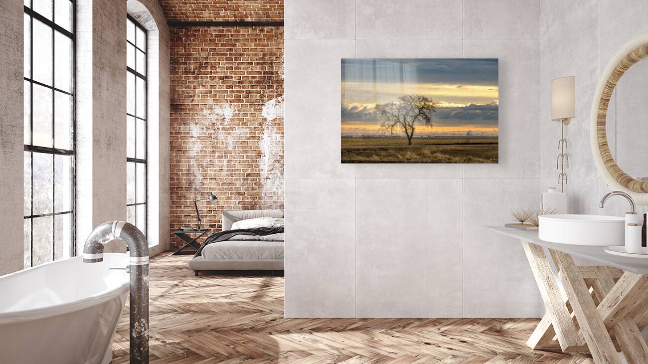 Lone Tree at Sunrise Reproduction