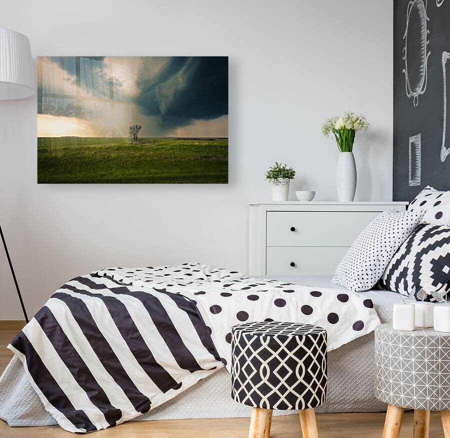 Lone Tree and Incoming Storm Reproduction