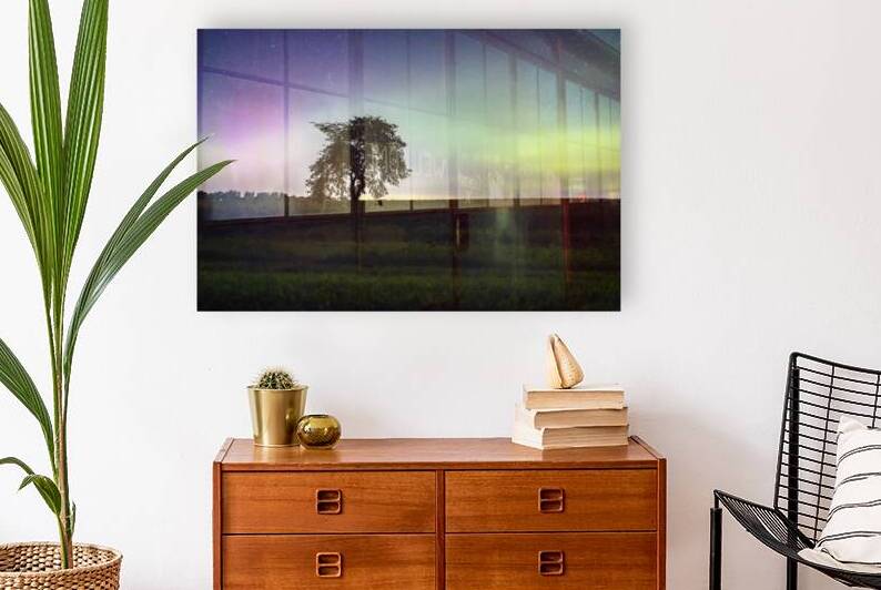 Lone Tree and Northern Lights by Marc Gilbert Photography