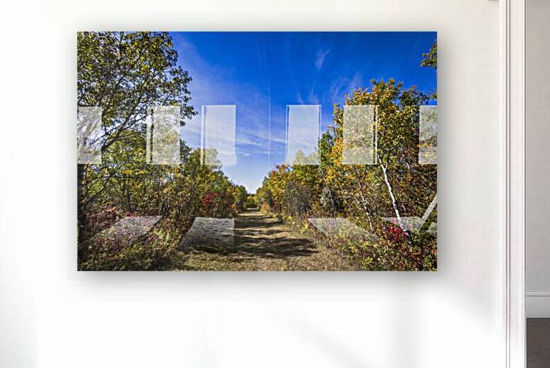 Trail in the Fall by Marc Gilbert Photography