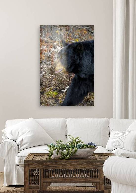 Mama Bear by Marc Gilbert Photography