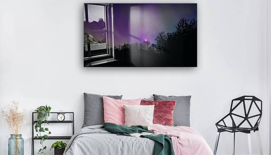 Aurora and Moonlight over the Canopy by Marc Gilbert Photography