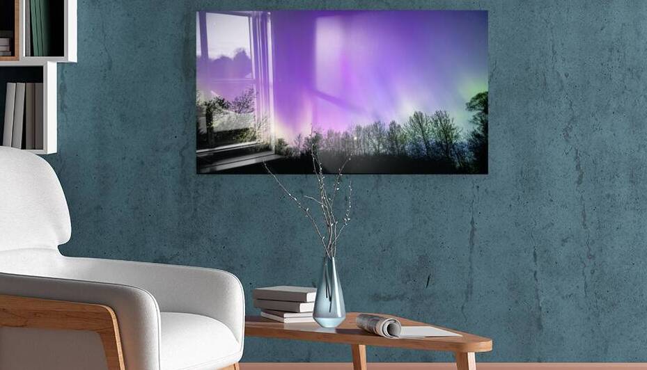 Northern Lights Above the Canopy by Marc Gilbert Photography