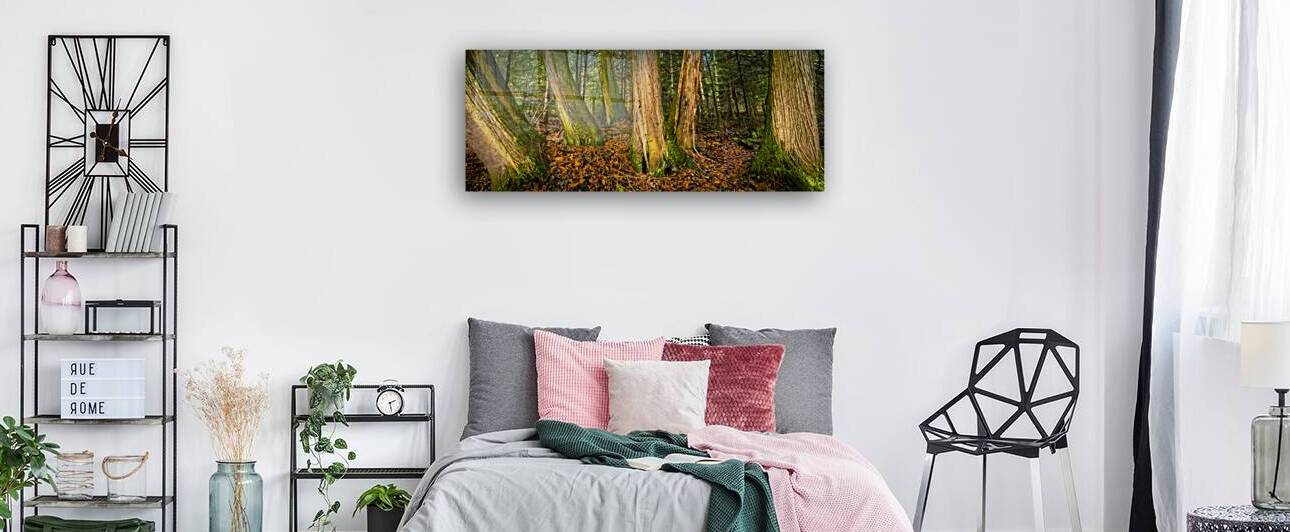 Tree Grove by Marc Gilbert Photography