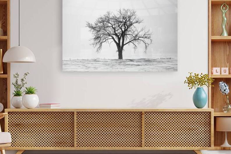 Lone Tree in Snowstorm by Marc Gilbert Photography