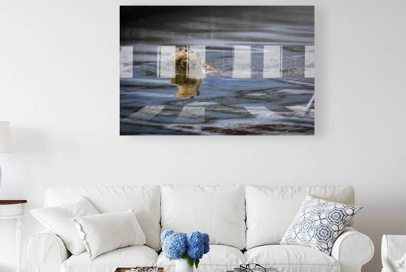 Otter by Marc Gilbert Photography