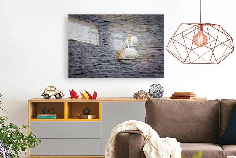 Pelicans by Marc Gilbert Photography