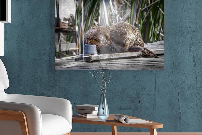 Otter by Marc Gilbert Photography