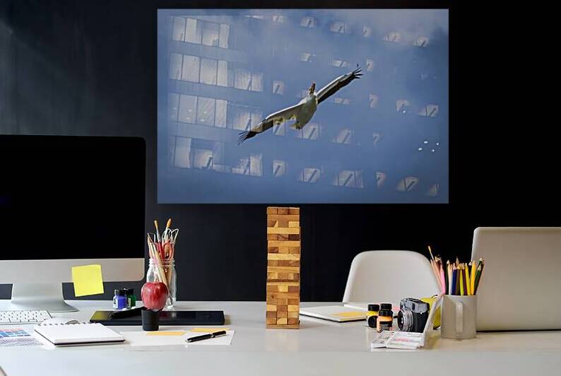 Pelican by Marc Gilbert Photography