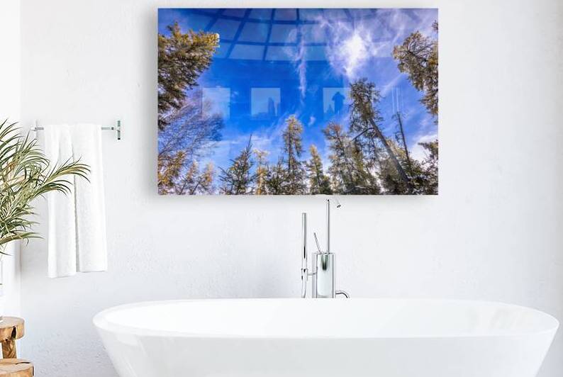 Frosted Trees by Marc Gilbert Photography