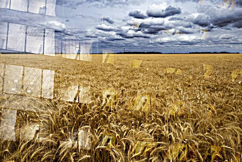 Ripe For Harvest by Marc Gilbert Photography