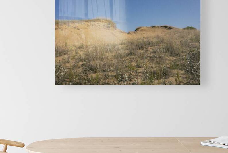 Spruce Woods by Marc Gilbert Photography