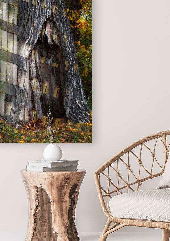 Tree Shelter by Marc Gilbert Photography