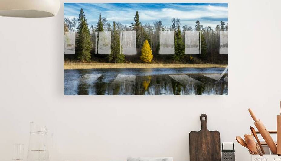 Tamarack Reflection by Marc Gilbert Photography